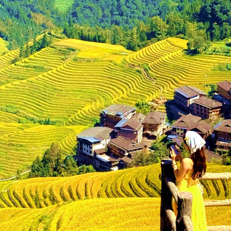 【纯玩含机票】广西桂林旅游龙脊梯田相公山黄洛瑶寨5天4晚跟团游