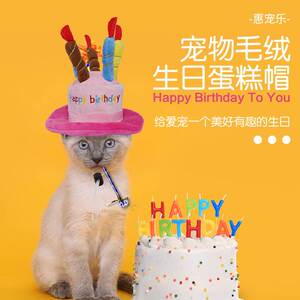 
Pet birthday hat toys cat dog new year gift toys Amazon hot new model