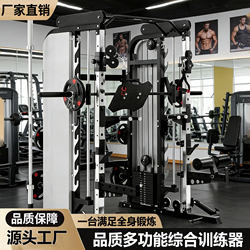Multi-Functional Home Gym Equipment: Smith Machine, Bench Press, Squat Rack, Integrated Training Device