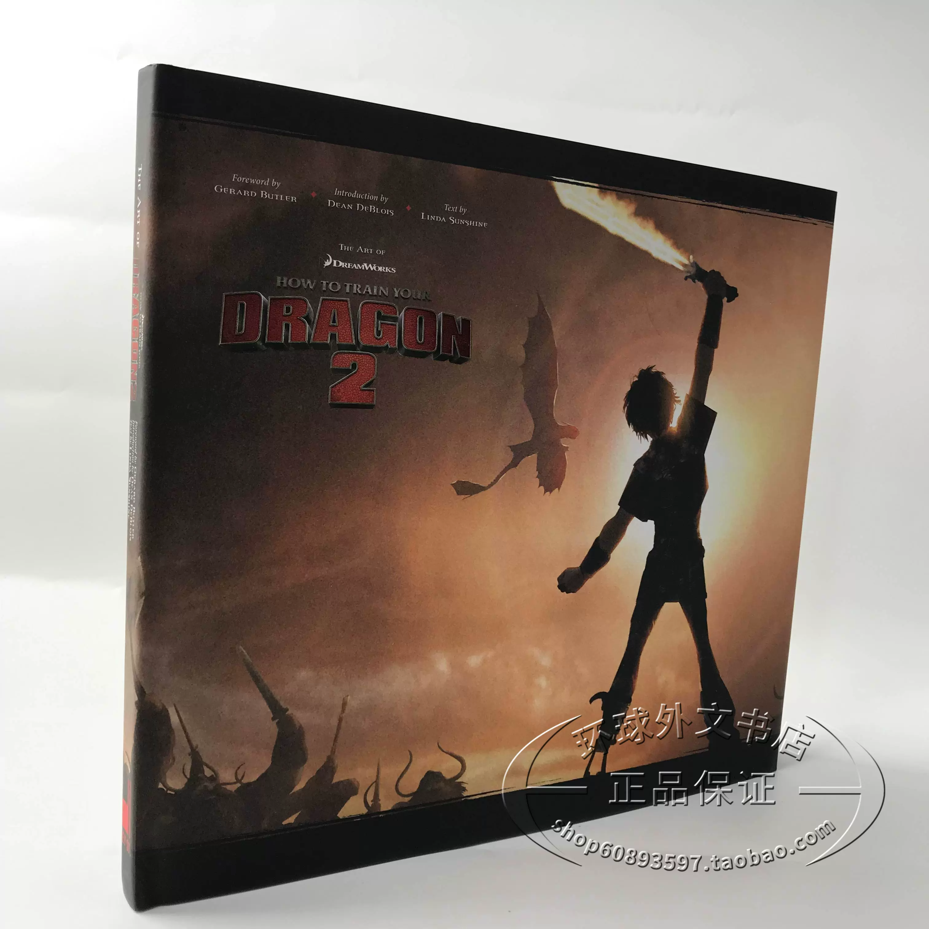 驯龙高手2动画设定集英文原版The Art of How to Train Your Dragon 2