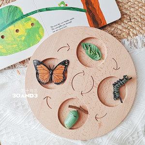 
Kindergarten early education teaching aids wooden cycle board biological growth cycle scientific enlightenment early education center teaching props