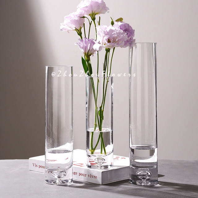 Simple modern glass small vase flower arrangement ins wind flower appliance water-raising flowers home living room desktop decoration ornaments