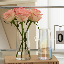 Vase Modern Minimalist Style Glass Transparent Iridescent Light Luxury High-End Living Room Flower Arrangement Dining Table Niche Decorative Ornament