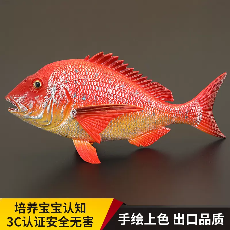 兒童實心仿真海洋動物玩具模型紅鯛魚真鯛魚加吉魚認知禮品擺件-Taobao