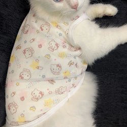 Mesh Gauze Kt Hello Kitty Pet Cat Clothes Summer Breathable and Cool Vest-Style Anti-Shedding, Sun Protection and Insect-Proof