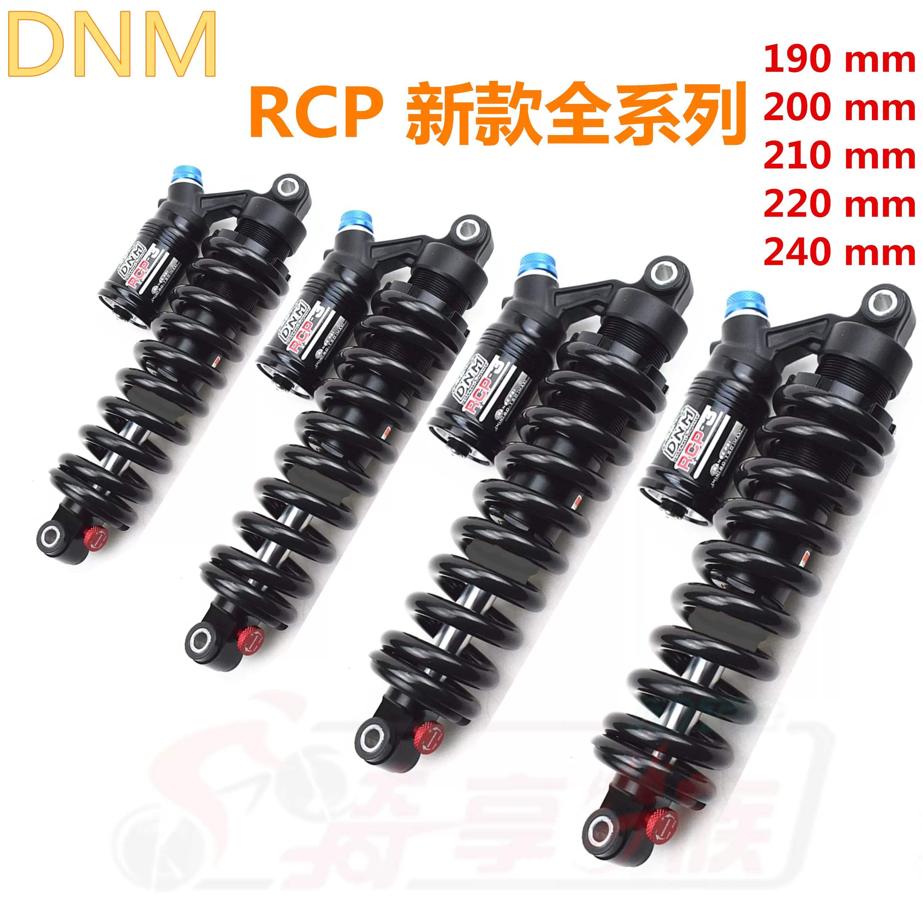 Dnm rcp2 sales