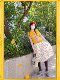 Spot skirt printed spring and autumn beige sweet midi skirt pleated women's style pastoral Japanese rabbit cat
