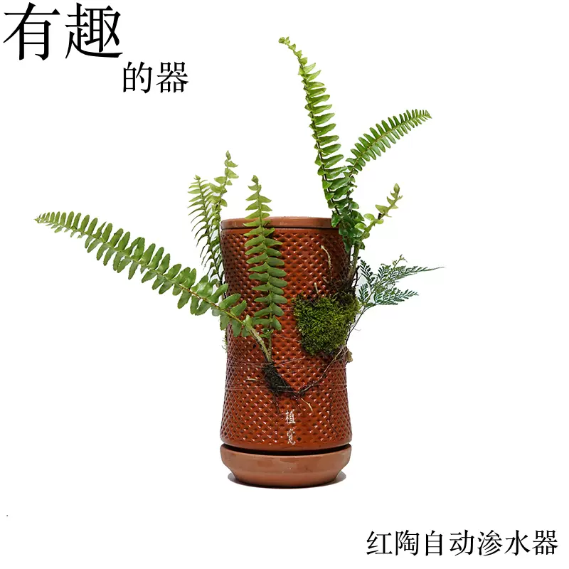 植觉红陶渗水器花盆懒人桌面花盆植物绿植