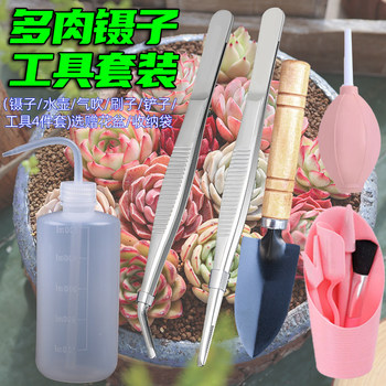 New succulent planting tool set
