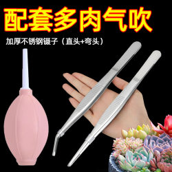 Succulent Tweezers, Air Blowing Tool, Flower Care Clips, Four-Piece Set, Extra Thick, Extended, Non-Slip, Beginner's Shovel, Watering Can, Complete Set