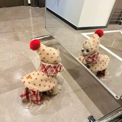 Pet Autumn and Winter New Dog Clothes Cat Clothes Teddy Bichon Pomeranian Small Dog Pet Clothing