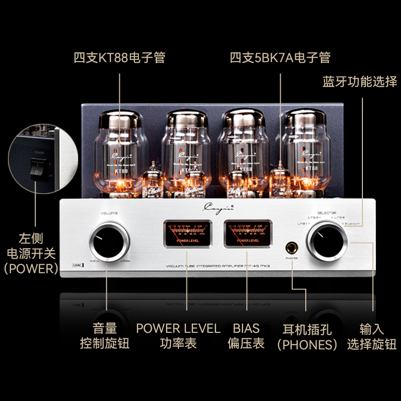 CAYIN 真空管アンプ MT-12 CAYIN MT-12 プリメインアンプ TELEFUNKEN Philips @34565