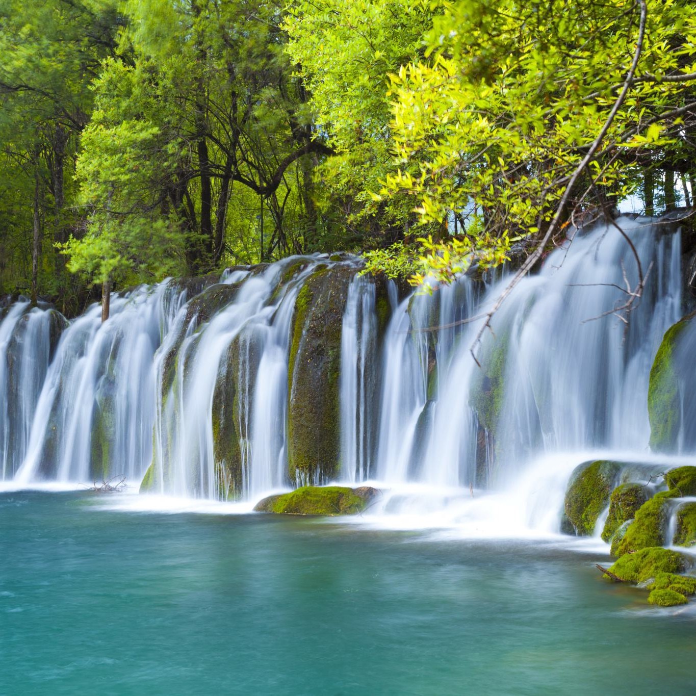 阿坝州九寨沟黄龙都江堰四姑娘山达古冰川3日游纯玩汽车/高铁大团