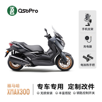 Yamaha XMAX300 special car customization