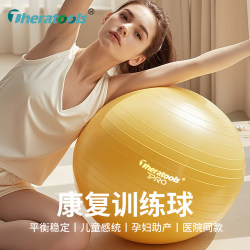 Rehabilitation Training Yoga Ball, Large Ball for Adults, 45cm, Sensory Integration Ball for Children, Core Pilates Ball, Balz Ball