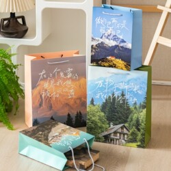 Free-Style Gift Tote Bag Graduation Gift Packaging Paper Bag Holiday Birthday Gift Thickened Ins Premium Bag