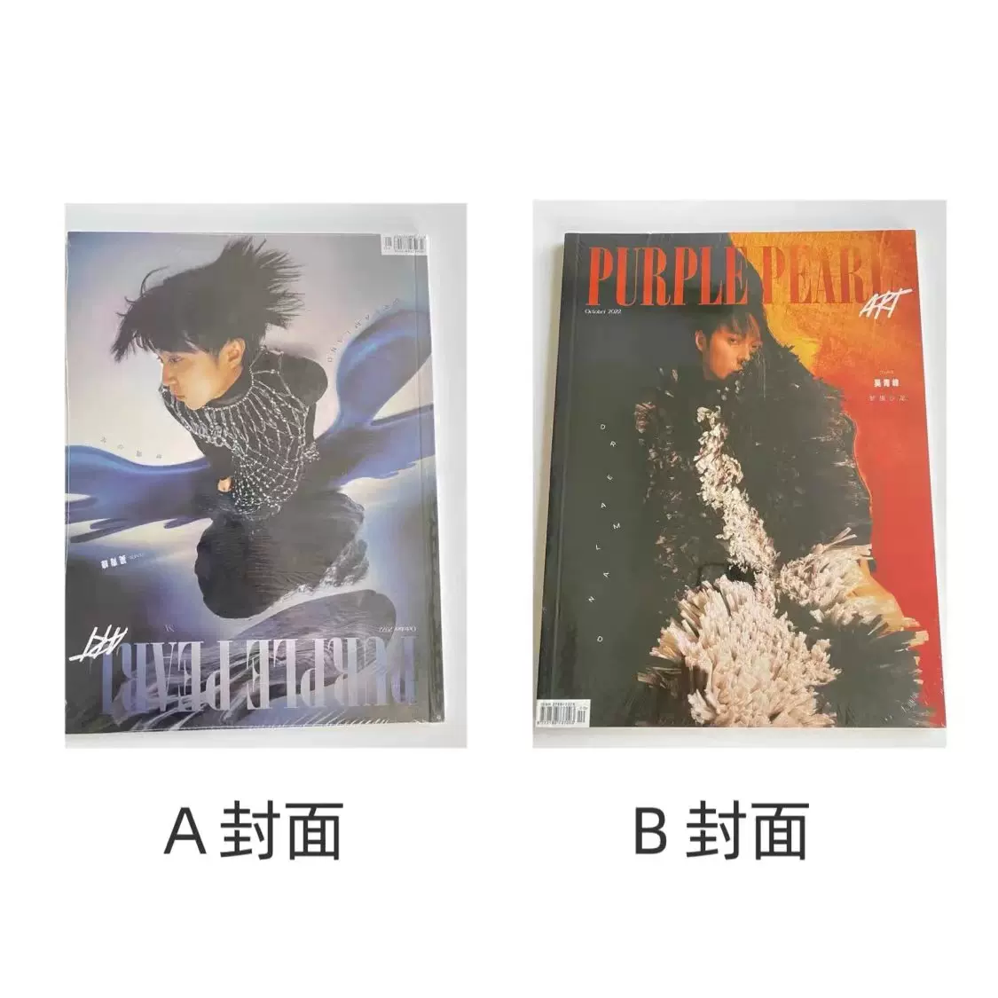 Peat 中国雑誌 SEEK 风尚画报 Amazon.co.jp: SEEK风尚画报/風尚画報 2024年10月号 加藤史帆/森