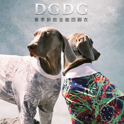 Dgdg Spring New All-Purpose Four-Legged Sportswear 2026 New Dog Insect-Proof and Dirt-Proof Four-Legged Protective Clothing