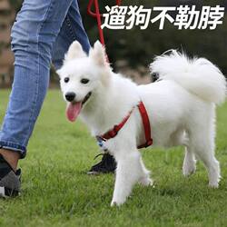 New Dog Harness, Dog Collar, Pet Leash Harness, Separate Chest Harness, Collar, Neck Strap, Vest