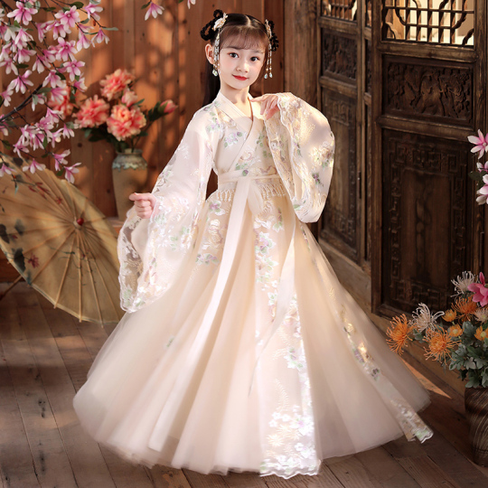 green emerald velvet dress Purple Traditional Hanfu Dress Dress / S