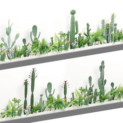 Small Simulated Cactus Landscaping Combination Bonsai Set, Succulent Green Plants, Window Decoration Ornaments, High-End Light Luxury