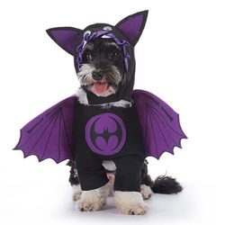 Pet clothes bat costume Christmas Halloween pumpkin stand-up costume funny dog ​​costume dress up pet costume