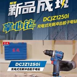 Dongcheng 1250I Impact Drill 12V High Torque Pocket Drill Dongcheng Electric Drill Original