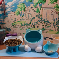 Cat Bowl Double Bowl Ceramic Food Bowl For Cats - Vivipet Cat Supplies