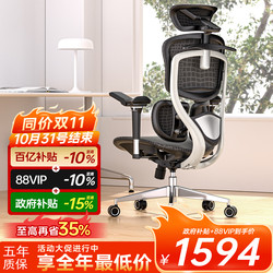 Ergoup/Huiyan X1 Ergonomic Chair, Computer Chair, Comfortable for Long Sitting, Office Chair, Gaming Chair