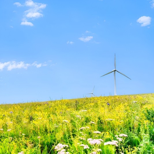 私家团内蒙古大同云冈石窟8天【住2晚沙漠迪士尼·响沙湾莲花】