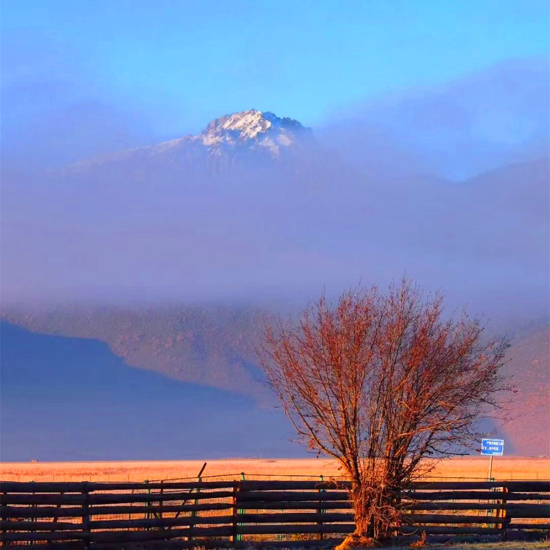 私家团香格里拉雨崩大理6天【梅里既下山+简约美学洱海璞素】
