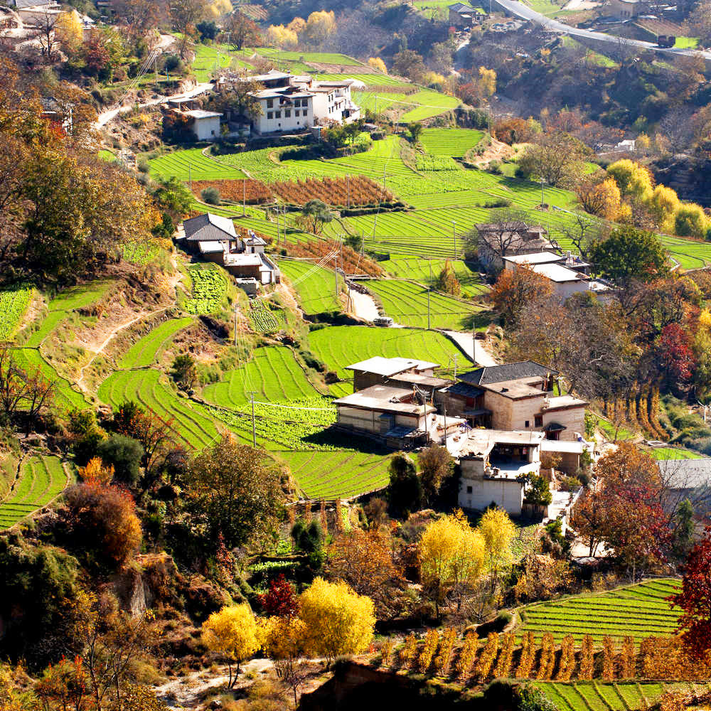 私家团香格里拉虎跳峡尼丁6天【梅里雪山·既下山+奔子栏丽世】