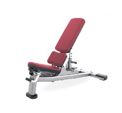 Adjustable Dumbbell Bench, Commercial Bench Press Bench, Incline Bench, Personal Training Bench, Multi-Adjustable Exercise Chair for Home Use