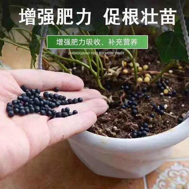 Stanley Compound Fertilizer Flower Fertilizer Chemical Fertilizer