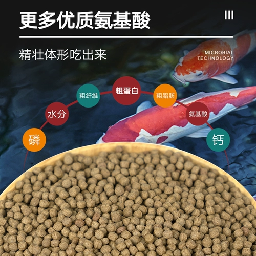 Koi Fish Маленькие частицы непревзойденные вода спирулина кормление