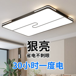 2026 New Model Living Room Main Light, Elegant and Simple Modern Led Ceiling Light, Home Dining Room Bedroom Light, Zhongshan Lighting Fixtures