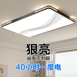 2026 New Model Led Living Room Ceiling Light, Modern and Simple, Elegant and Ultra-Thin, Suitable for Bedroom, Room, and Hall, Zhongshan Lighting Fixtures