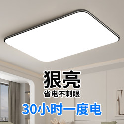 Led Living Room Ceiling Lamp Ultra-Thin Led Modern Simple Atmospheric Room Bedroom Lamp Restaurant Hall Lamp Zhongshan Lamps