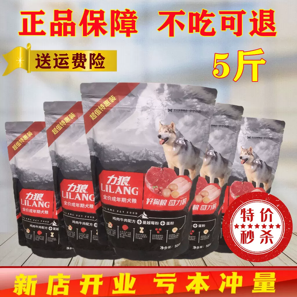 莱维：5 公里的哈士奇雪橇之旅| GetYourGuide, image size:1024x1024