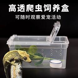 Reptile breeding box breeding box set