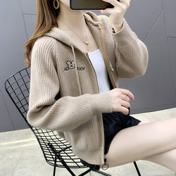 Autumn Hooded Knitted Cardigan Outerwear 2026 New Popular Early Autumn Loose and Stylish Sweater Jacket for Women