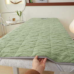 Beauty Mattress Winter Milk Velvet Blanket Autumn and Winter Student Dormitory Bedding Base Taffeta Fleece Warm