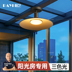 Sunroom Ceiling Light, Outdoor Waterproof Courtyard Led Canopy Pendant Light, Outdoor Balcony Glass Room Special Ceiling Light