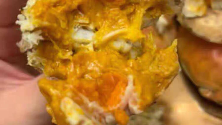 蟹香万里，终于等到你(图7)