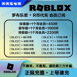 Roblox R-Coin Storage Service, Robux Membership Subscription, International Server R-Coin Top-Up