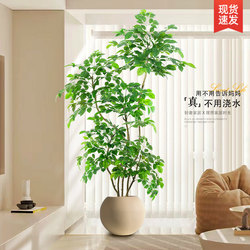 Simulated Plant Floor-Standing Potted Plant Indoor Large-Scale Artificial Green Plant Ornament Living Room High-End Light Luxury Decoration Fake Flowers Fake Trees