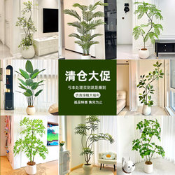 Clearance Sale of High-End Luxury Artificial Green Plants, Large Decorative Ornaments for Living Rooms, High-Quality Realistic Indoor Floor-Standing Fake Trees