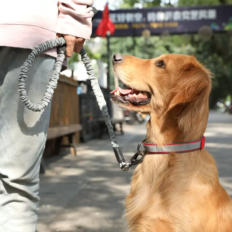 宠物狗狗项圈法斗小型犬大型犬狗圈颈圈金毛脖