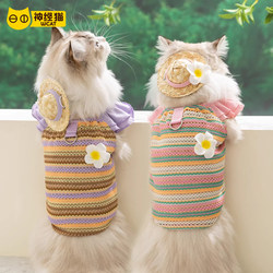 Cat Clothing Anti-Shedding Vest with Leash Attachment, Thin Sweater for Hairless Cats, Specifically for Devon Rex Cats