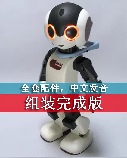 国行中文语音Robi 洛比声控智能机器人拼装完成品-Taobao